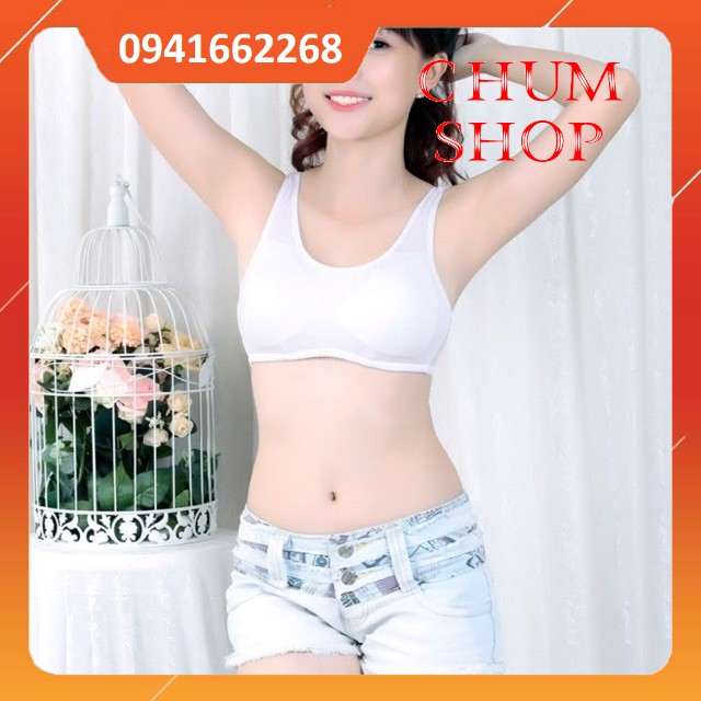 ÁO LÁ HỌC SINH A85#