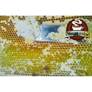 MẬT ONG HOA BẠC HÀ CHAI 30g
