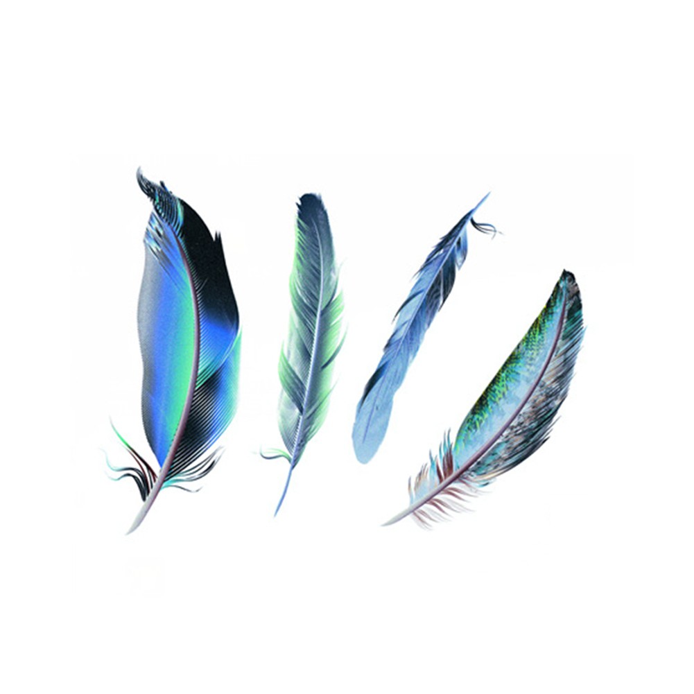 Set đề can dán xe hơi trang trí họa tiết lông vũ nhiều màu sắc