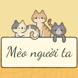 Mèo Người Ta