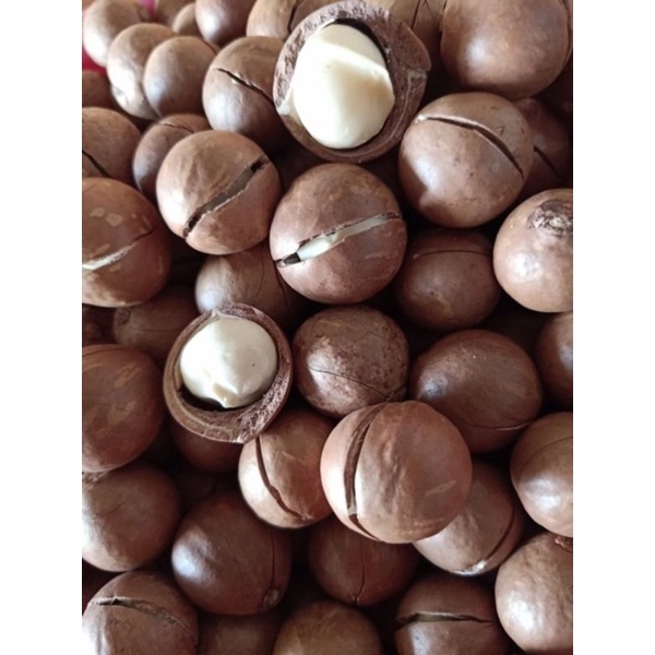 Lọ 500g macca nứt tự nhiên bao ngon