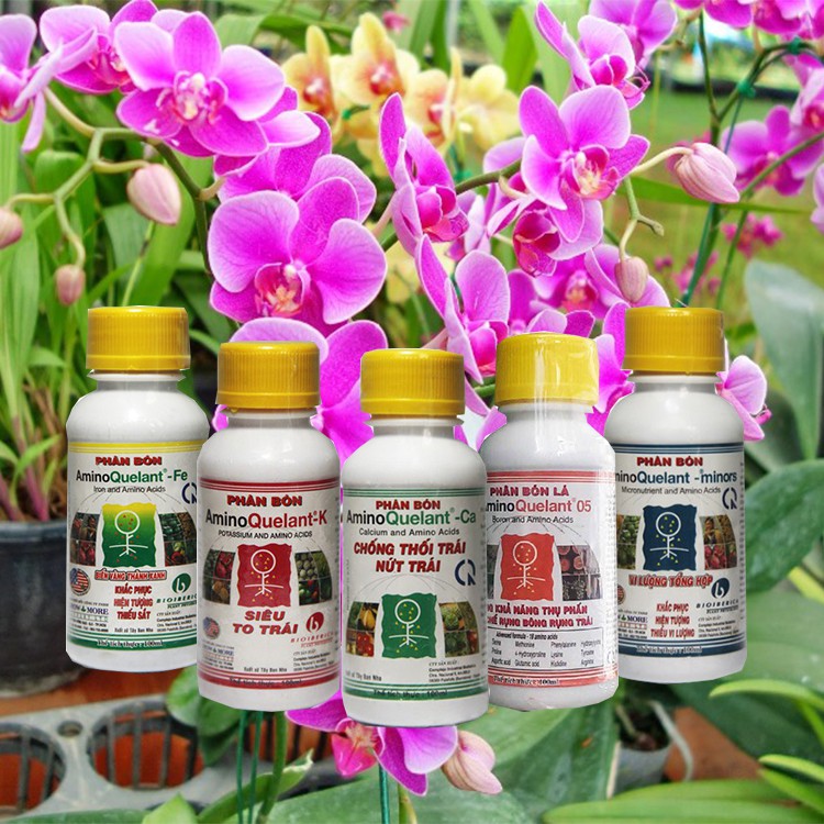 Set 5 lọ phân bón  Amino Quelant Fe, Ca, K, B, Minor 100ml x 5 lọ - Chuyên dùng cho hoa lan, hoa hồng, rau màu, bonsai