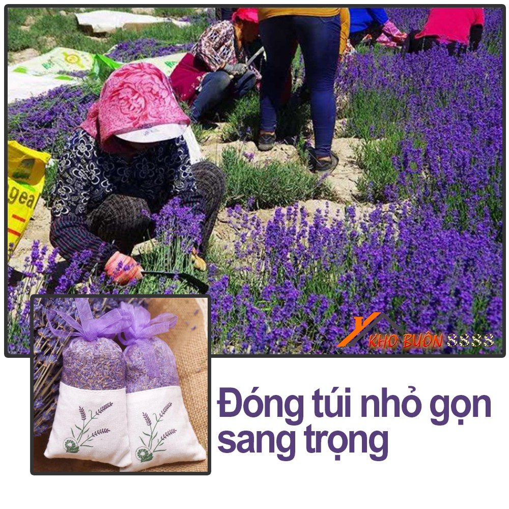 Túi thơm để tủ quần áo -Nụ Hoa Lavender Khô treo để treo phòng ngủ phòng khách xe ô tô Hàng Nhập Khẩu TTL01