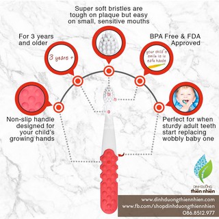 Bàn chải đánh răng Radius Cho Bé 3 Tuổi