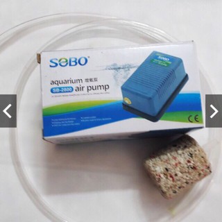 Sủi oxi một cổng cho hồ cá