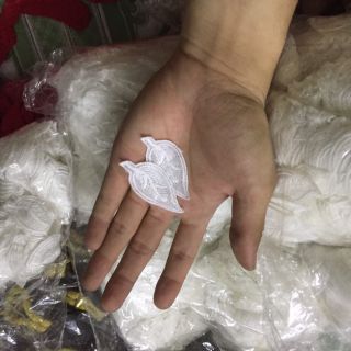 Phụ liệu may mặc