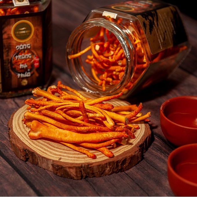Đông trùng hạ thảo khô hộp 25g sấy thăng hoa, nấm đông trùng loại thượng hạng đạt tiêu chuẩn của Viện Hàn Lâm VN