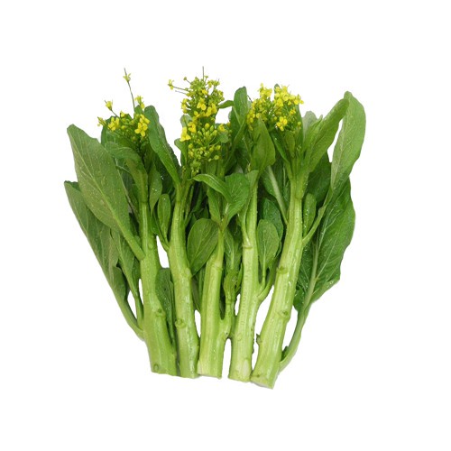 ( HOT ) Hạt giống cải ngồng, cải ăn hoa, cải ngọt 20gr