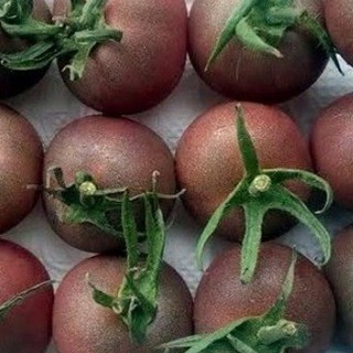 Hạt giống cà chua bi socola - Gói 30 Hạt - STHG2