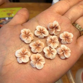 Combo 50 hoa bột