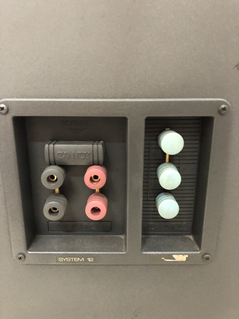 Loa TANNOY SYSTEM 12