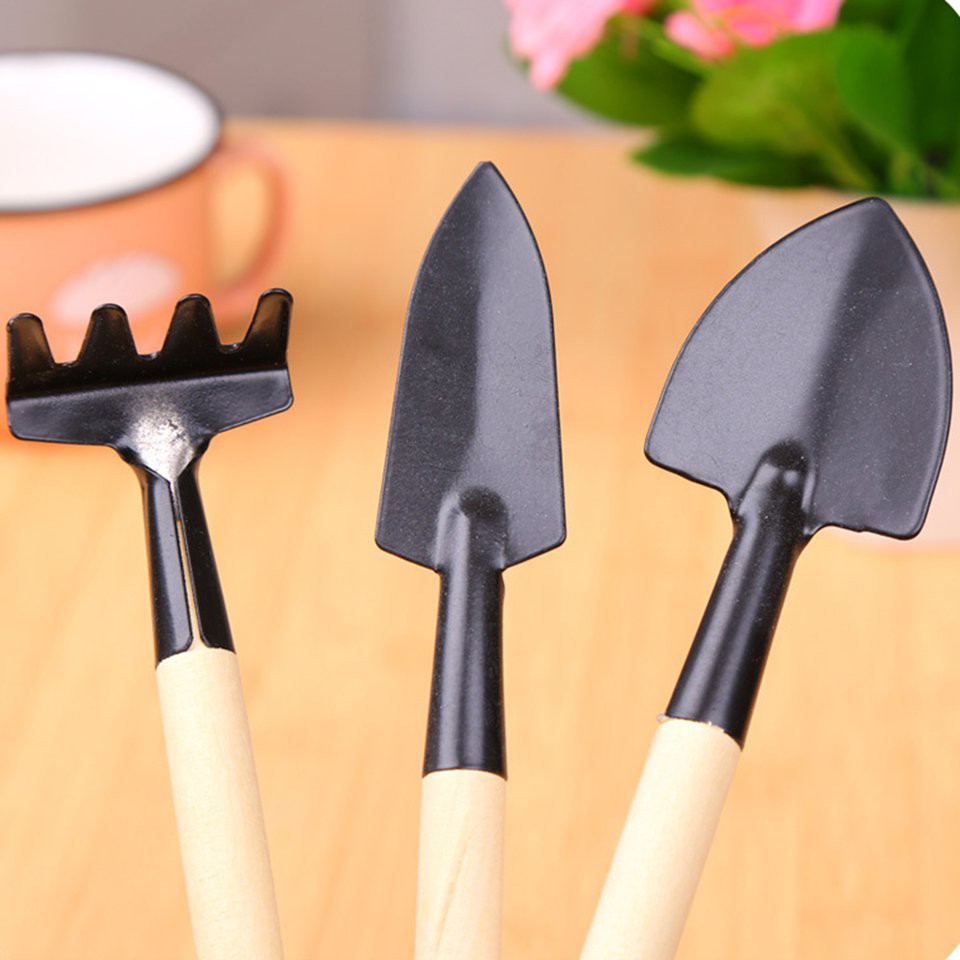 Bộ 3 dụng cụ làm vườn mini tay cầm gỗ DEY