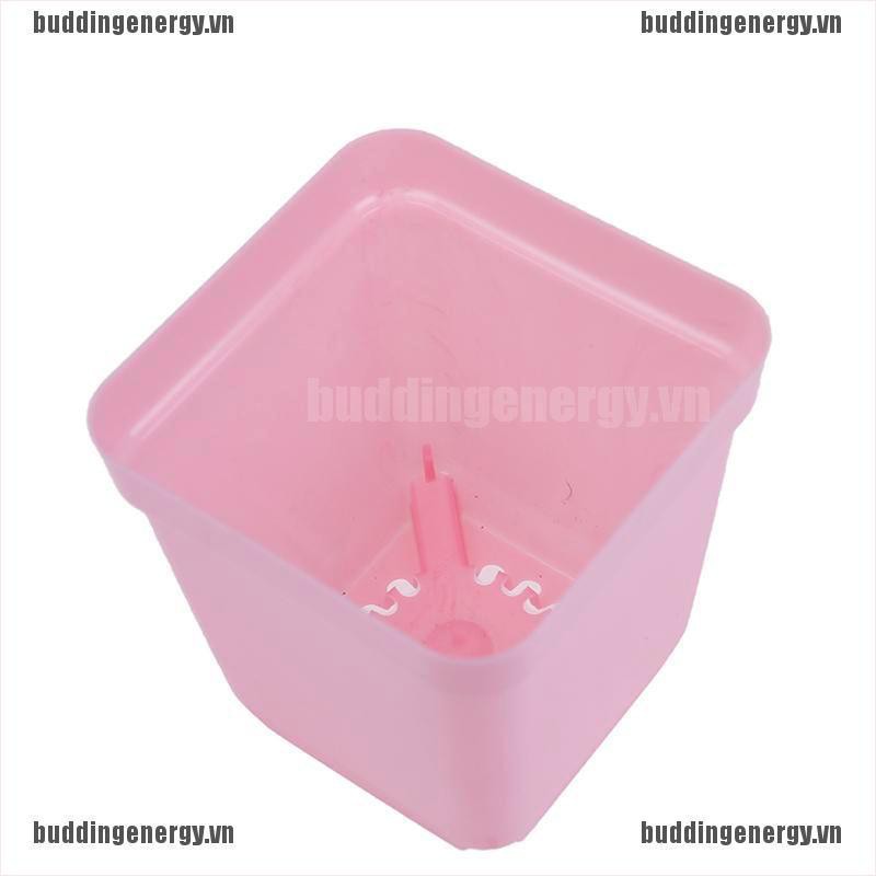 Bộ 10 Chậu Hoa Nhựa Thiết Kế Độc Đáo