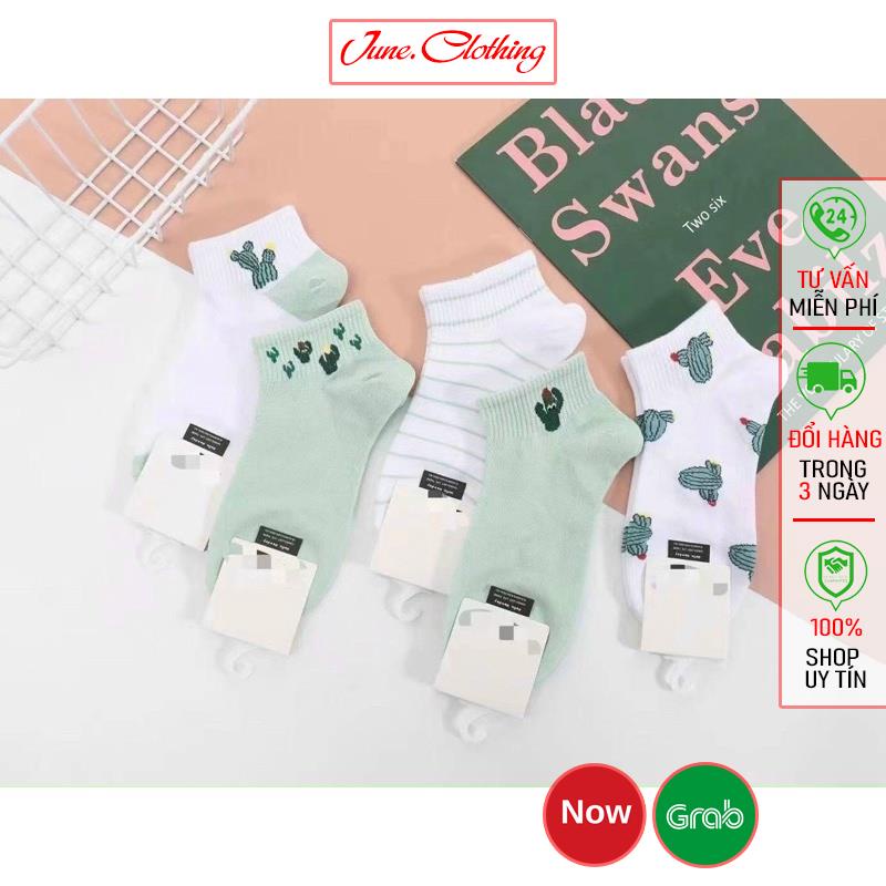 set 5 đôi tất cây xương rồng