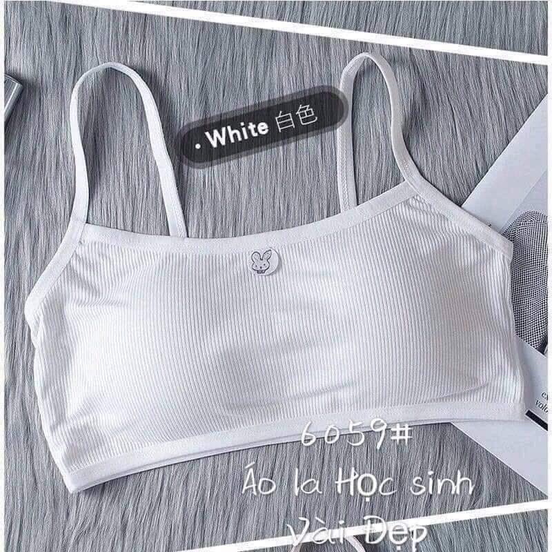 Áo lót len tăm học sinh