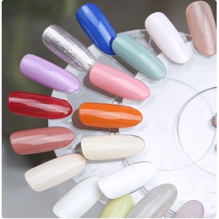 Móng vỉ tròn / móng dĩa tập vẽ nails 120 móng