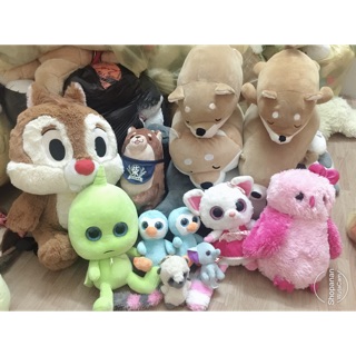 Set gấu c phương Thái