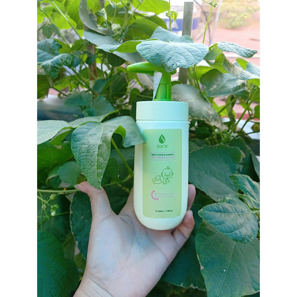 DẦU TẮM GỘI LÁ SEN