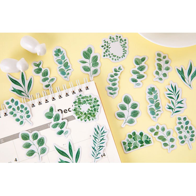 Hộp 45 miếng sticker mẫu cành lá cây xanh