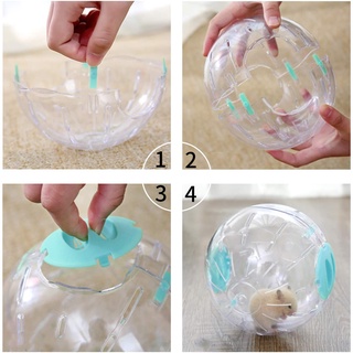 Bóng chạy mika hamster