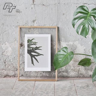 Khung ảnh 2 kính A3 30x40 Double Glass Frame - Khung hình gỗ thông mặt kính treo tường ép hoa khô Woodframe By P'Tee