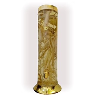Bình trụ ngâm rượu thuỷ tinh 4.8l-10.8l có vòi