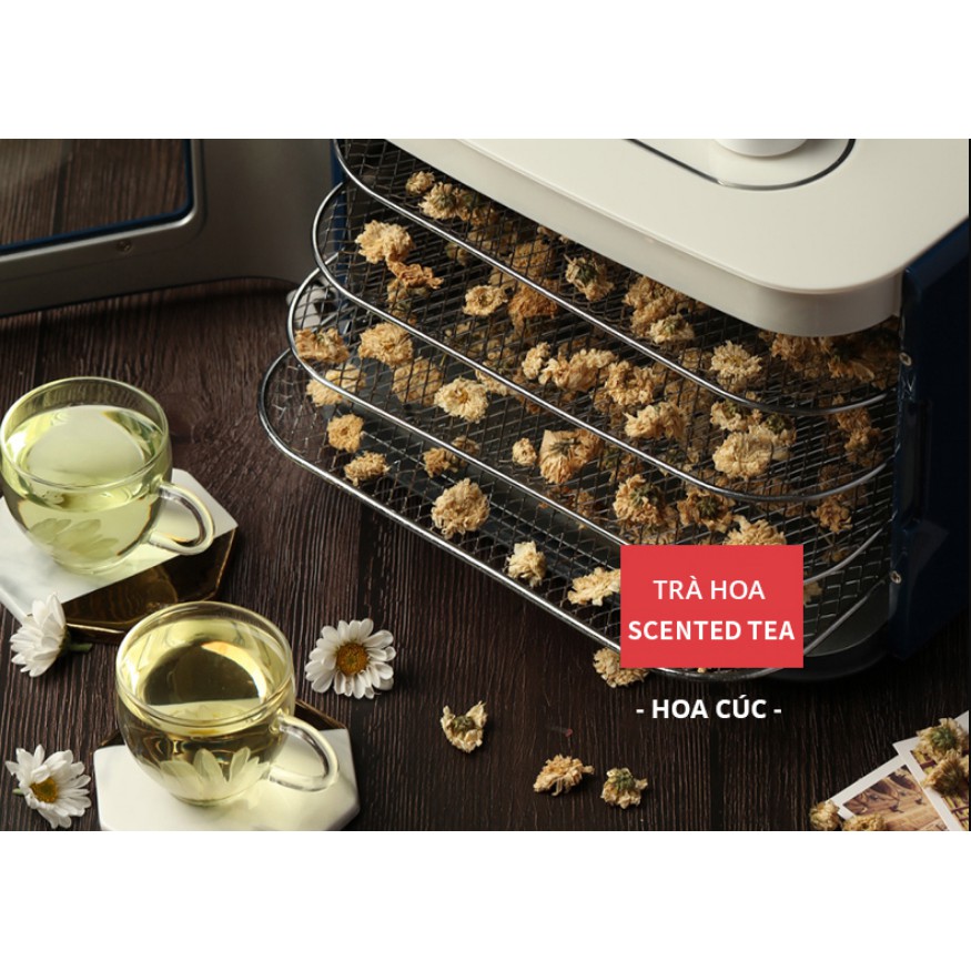 Máy Sấy Thực Phẩm Morphy Richards MR6255 HÀNG CÓ SẴN