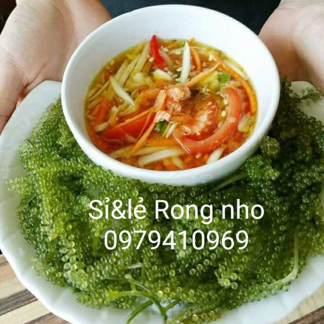 (Giá gốc) 50gr Rong nho tách nước tặng 1 gói sốt mè. rong nho tách nước. rong biển khô