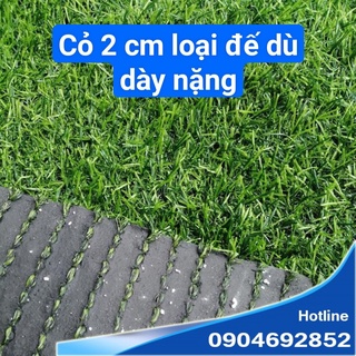 Thảm cỏ nhân tạo loại dày đẹp sợi nhựa 2 cm