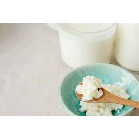 Nấm sữa Kefir - sữa chua Hy lạp