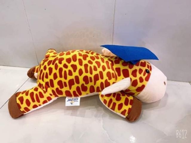 GẤU Bông Huơu Grow