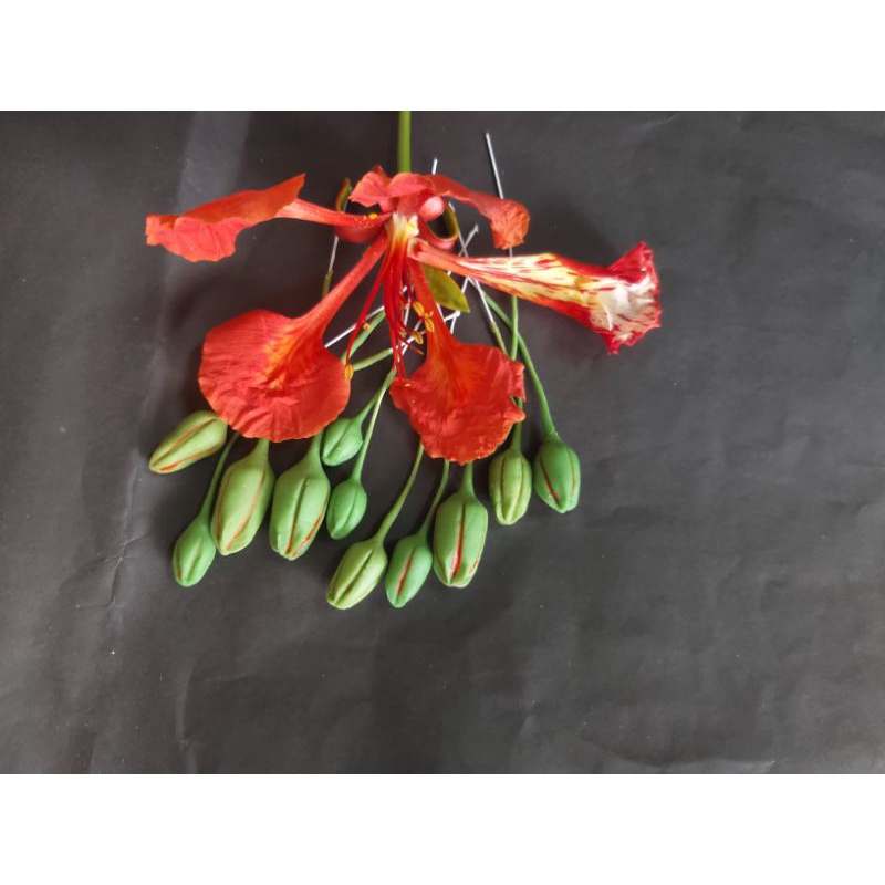 20 Nụ hoa phượng làm hoa handmade