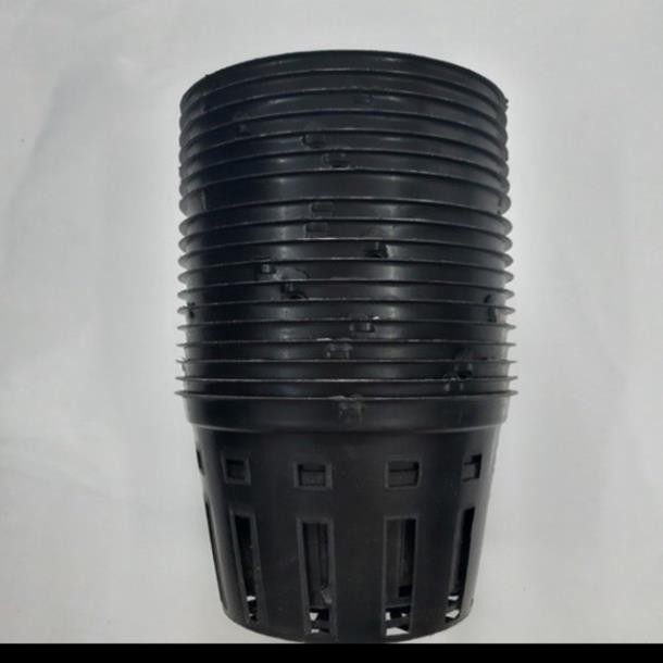 10 chậu nhựa trồng Lan phi 12