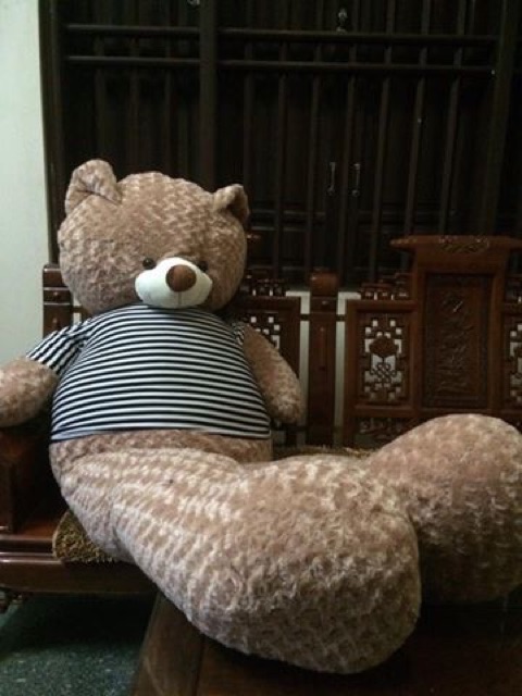 Gấu bông teddy áo khổ vải 2m