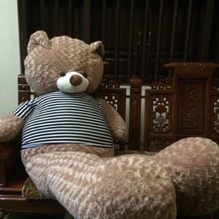 Gấu bông teddy áo khổ vải 2m