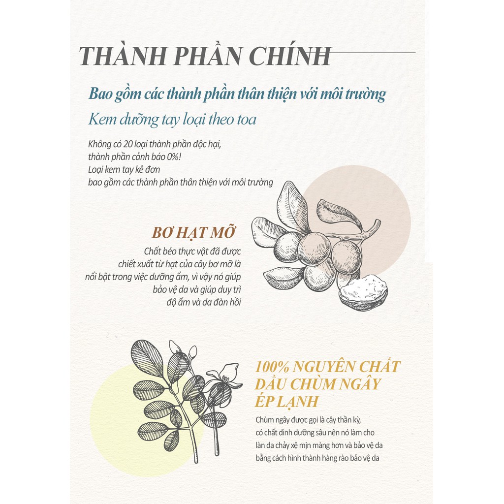 [TẶNG 66K]Kem dưỡng tay Frudia Re:proust Essential Blending Handcream Earthy 50g | BigBuy360 - bigbuy360.vn