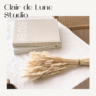 [HOA KHÔ] 5 BÔNG 🌸 Cỏ đuôi thỏ 🌸 Decor, Phụ kiện chụp ảnh