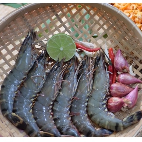 Tôm sú sinh thái rừng ngập mặn Cà Mau loại 2 175g/pack 4 con