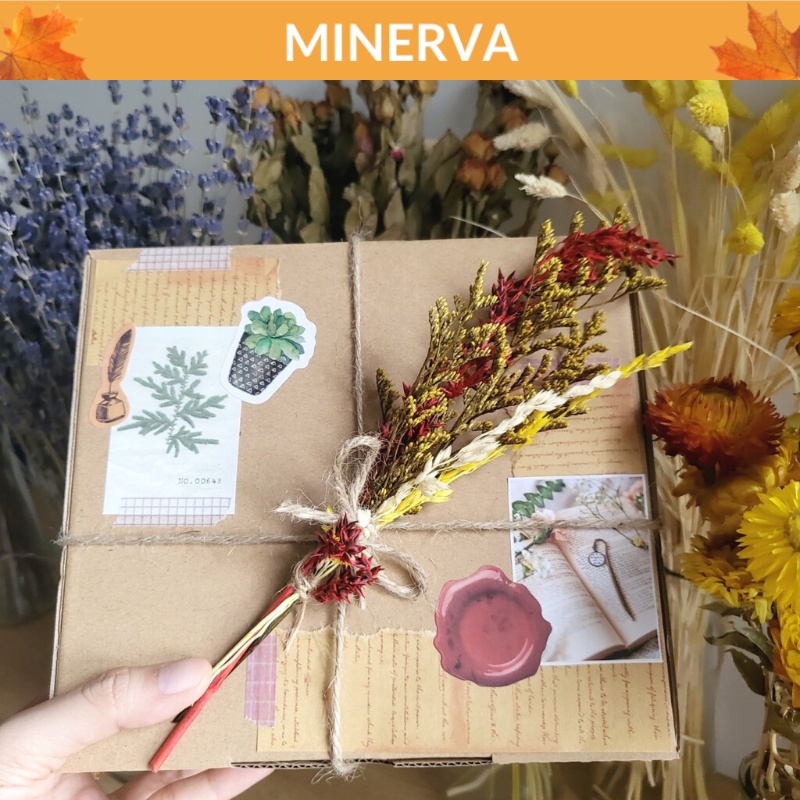 Hộp đựng quà tặng 20x18x8 cm kiểu dáng bó hoa khô ốc quế - phong cách Bullet Journal