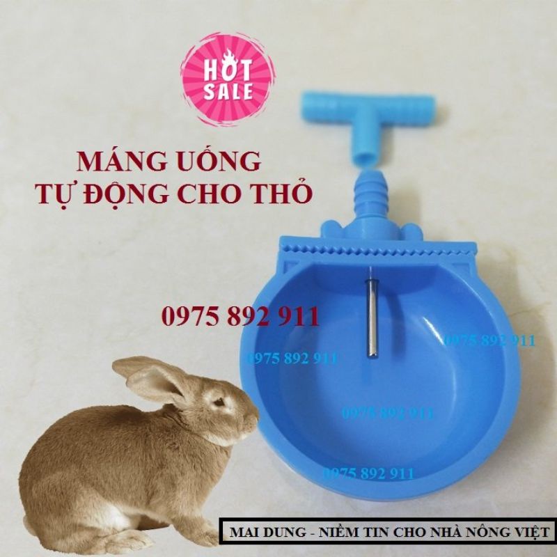 Máng uống tự động cho thỏ