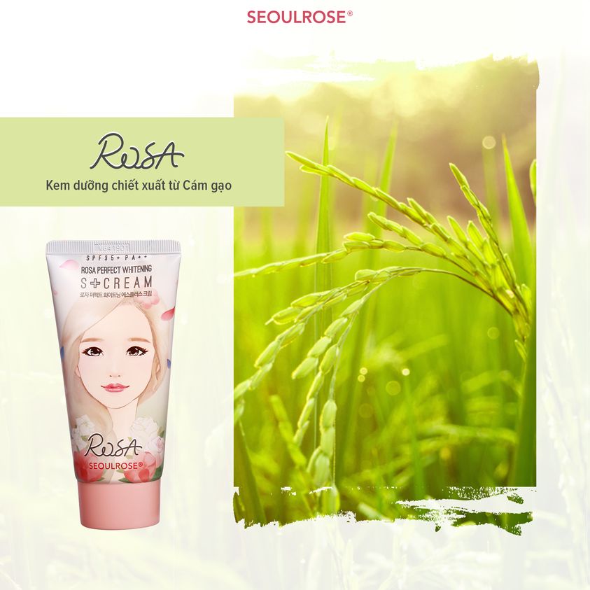 Kem dưỡng sáng da ban ngày chống nắng SeoulRose SPF35 PA++ Rosa 15g