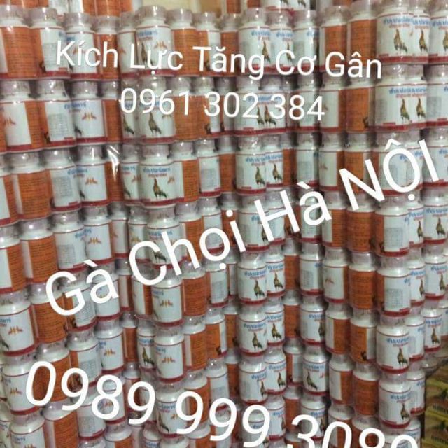 Kích lực tăng gân cho gà