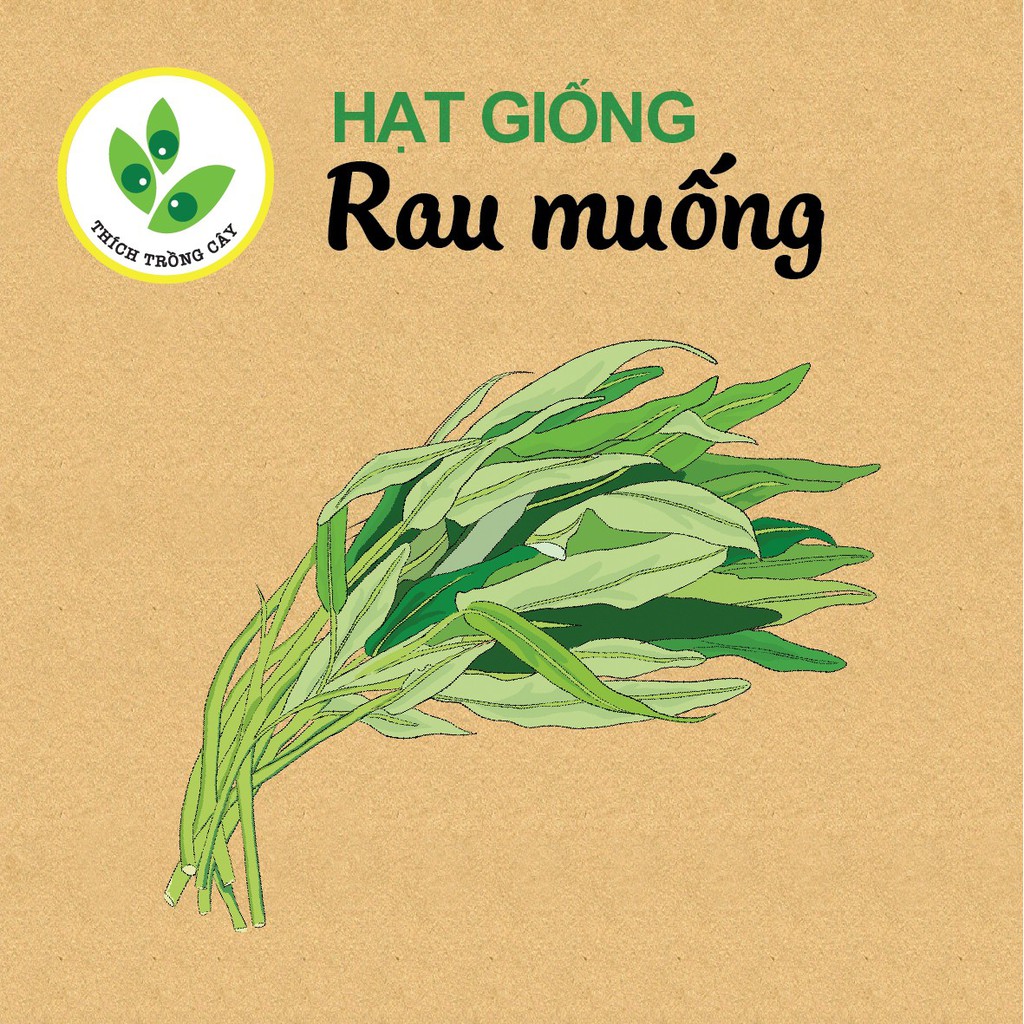 Hướng dẫn cách vẽ cây rau muống đơn giản cho người mới bắt đầu