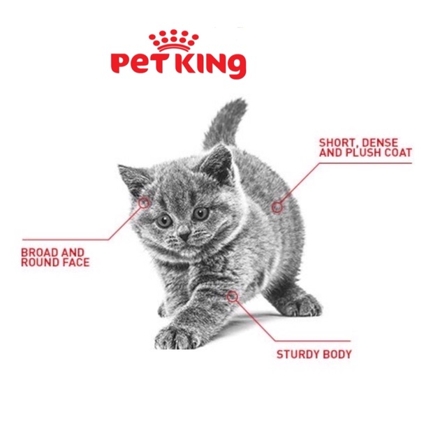 Thức Ăn Hạt Royal Canin British Shorthair Kitten 2Kg cho mèo Anh Lông Ngắn
