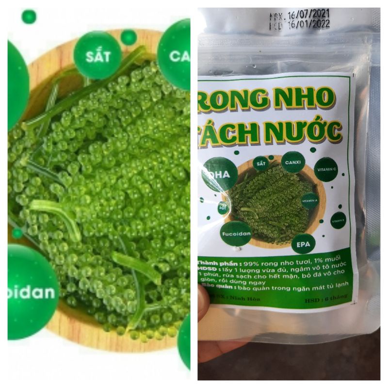 (Rẻ vô địch)2kg rong nho tách nước Nha Trang_Khánh Hòachất lượng, giá cạnh tranh freeship❤