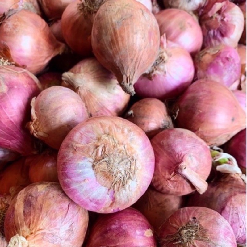 [Sẵn Now] Hành ẤN ĐỘ củ to hàng thơm ngon 200gr
