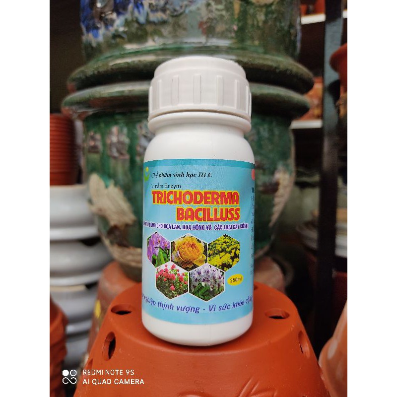 Trichoderma bacillus 250ml - Nấm đối kháng (Chuyên dùng cho hoa lan, hồng, các loại cây kiểng)