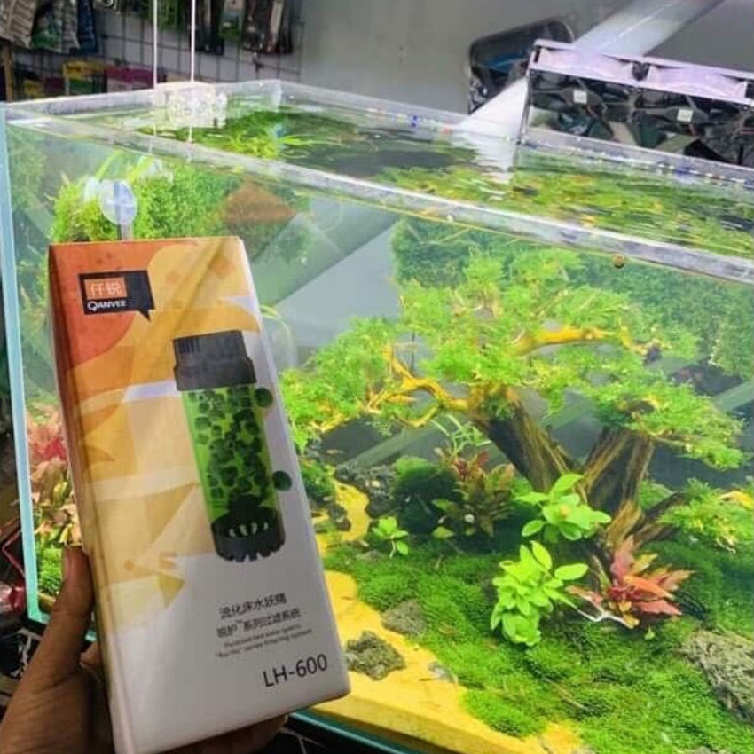 Lò đảo hạt kaldnes Qanvee LH 300 và LH 600 tạo vi sinh tăng chất lượng nước cho hồ cá