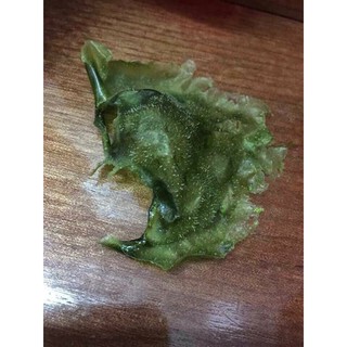 BỘT LỘT MỤN TRÀ XANH MATCHA