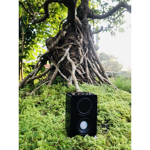 Loa Bluetooth Handmade Màu Đen ⚡️⚡️⚡️